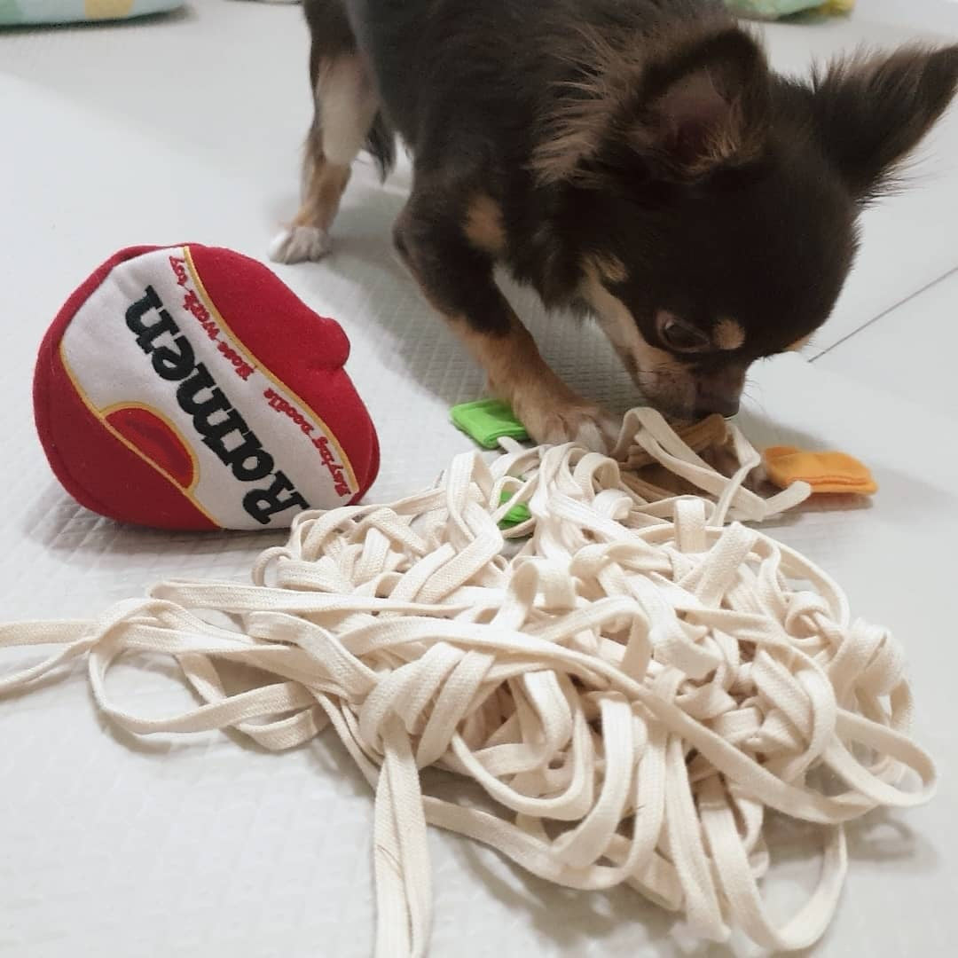 Sniff & Snack