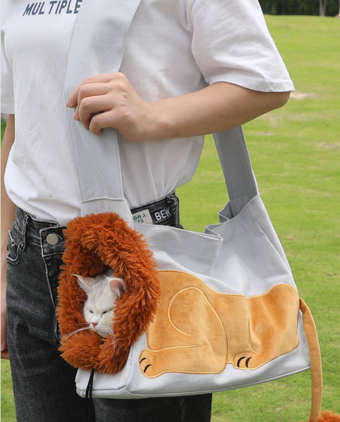 Bolso para mascotas: Petbag